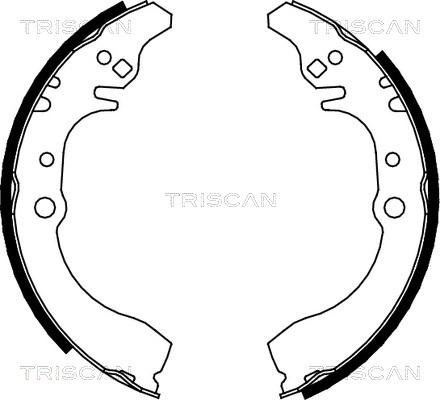 Triscan 8100 41617 - Bremžu loku komplekts autodraugiem.lv