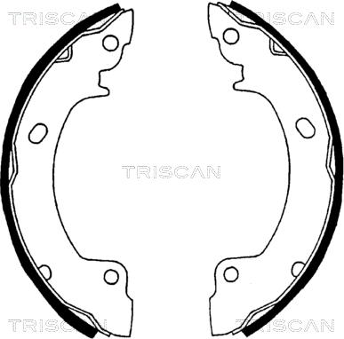 Triscan 8100 43529 - Bremžu loku komplekts autodraugiem.lv