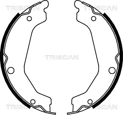 Triscan 8100 43019 - Bremžu loku komplekts autodraugiem.lv