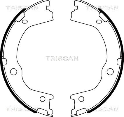 Triscan 8100 43027 - Bremžu loku komplekts autodraugiem.lv