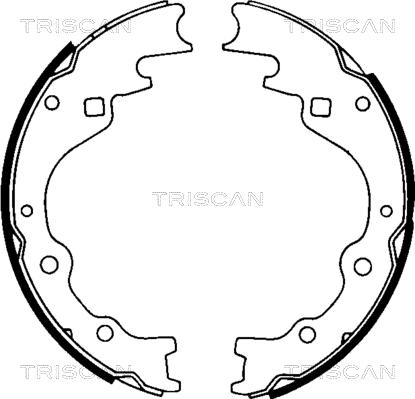 Triscan 8100 50461 - Bremžu loku komplekts autodraugiem.lv
