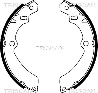 Triscan 8100 69511 - Bremžu loku komplekts autodraugiem.lv