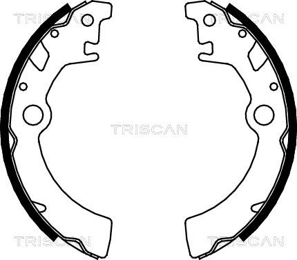 Triscan 8100 69600 - Bremžu loku komplekts autodraugiem.lv