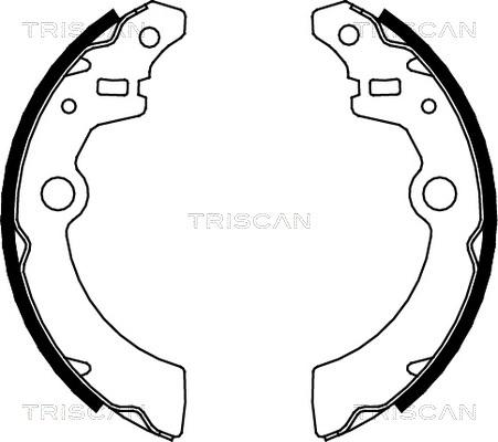 Triscan 8100 69001 - Bremžu loku komplekts autodraugiem.lv
