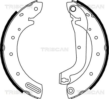 Triscan 8100 14596 - Bremžu loku komplekts autodraugiem.lv