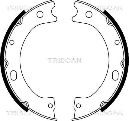 Triscan 8100 14011 - Bremžu loku komplekts autodraugiem.lv