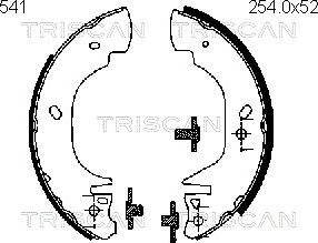 Triscan 8100 16541 - Bremžu loku komplekts autodraugiem.lv