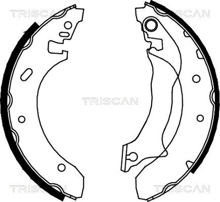 Triscan 8100 16559 - Bremžu loku komplekts autodraugiem.lv