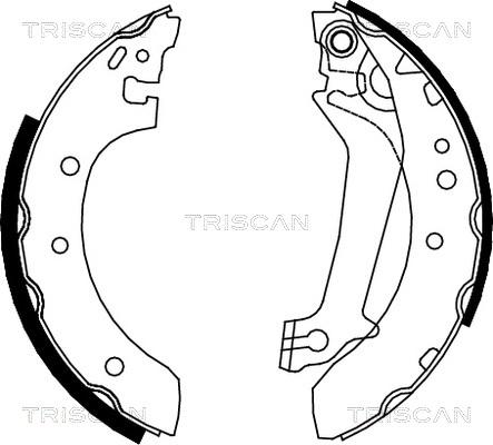 Triscan 8100 16587 - Bremžu loku komplekts autodraugiem.lv