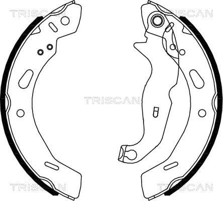 Triscan 8100 16013 - Bremžu loku komplekts autodraugiem.lv