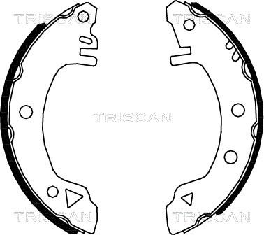 Triscan 8100 16375 - Bremžu loku komplekts autodraugiem.lv