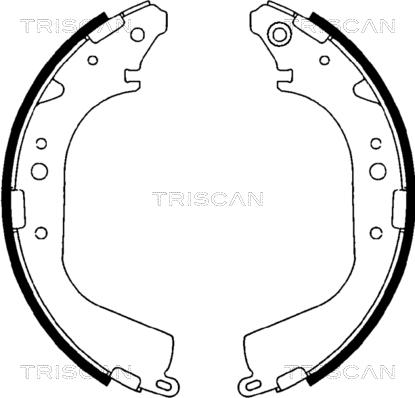 Triscan 8100 10425 - Bremžu loku komplekts autodraugiem.lv