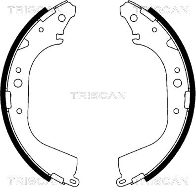 Triscan 8100 10519 - Bremžu loku komplekts autodraugiem.lv