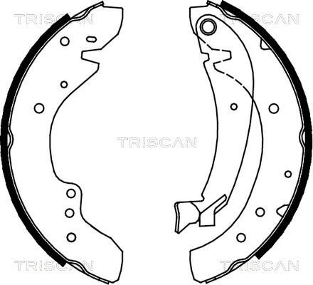 Triscan 8100 10573 - Bremžu loku komplekts autodraugiem.lv