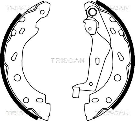 Triscan 8100 10005 - Bremžu loku komplekts autodraugiem.lv
