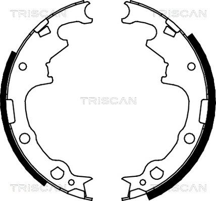 Triscan 8100 10001 - Bremžu loku komplekts autodraugiem.lv