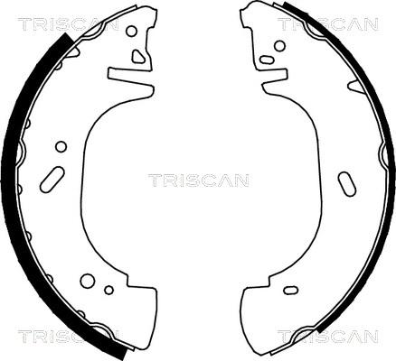 Triscan 8100 10002 - Bremžu loku komplekts autodraugiem.lv
