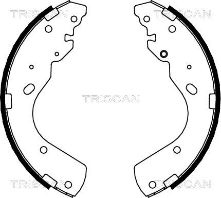 Triscan 8100 10017 - Bremžu loku komplekts autodraugiem.lv