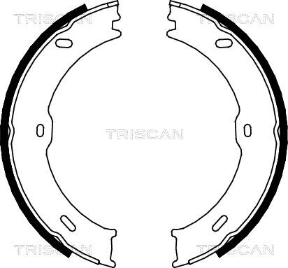 Triscan 8100 10023 - Bremžu loku komplekts autodraugiem.lv