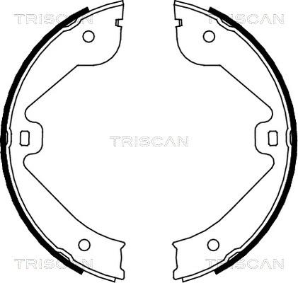 Triscan 8100 10022 - Bremžu loku komplekts autodraugiem.lv