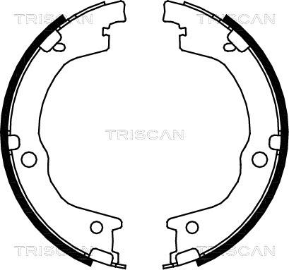 Triscan 8100 18006 - Bremžu loku komplekts autodraugiem.lv