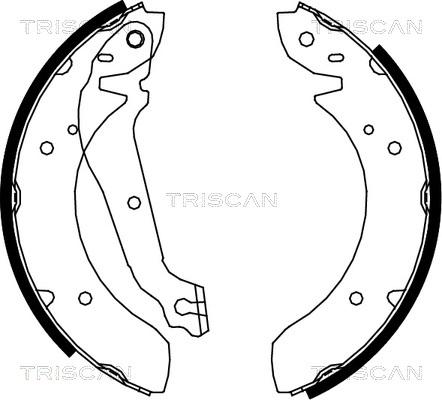 Triscan 8100 18013 - Bremžu loku komplekts autodraugiem.lv