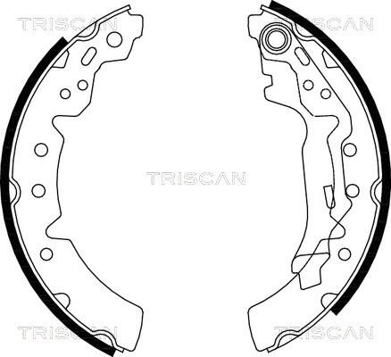 Triscan 8100 13031 - Bremžu loku komplekts autodraugiem.lv