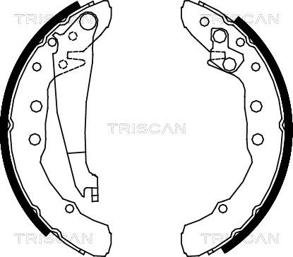 Triscan 8100 29530 - Bremžu loku komplekts autodraugiem.lv