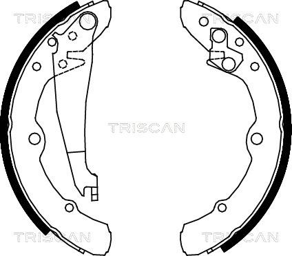 Triscan 8100 29343 - Bremžu loku komplekts autodraugiem.lv