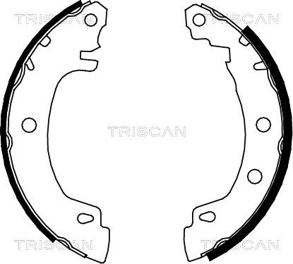 Triscan 8100 25581 - Bremžu loku komplekts autodraugiem.lv