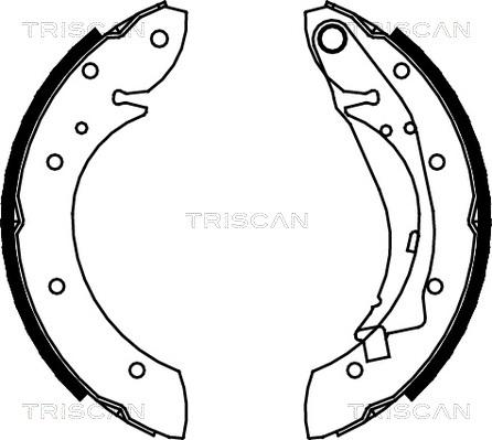 Triscan 8100 28598 - Bremžu loku komplekts autodraugiem.lv