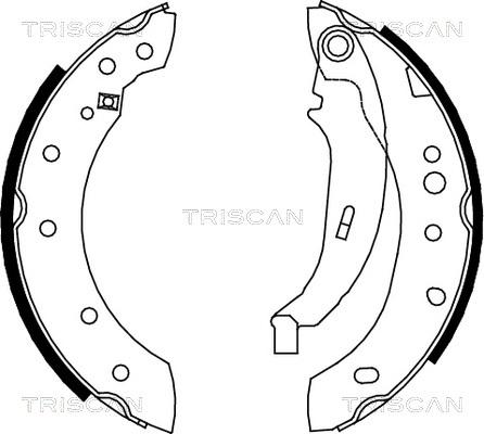 Triscan 8100 28052 - Bremžu loku komplekts autodraugiem.lv
