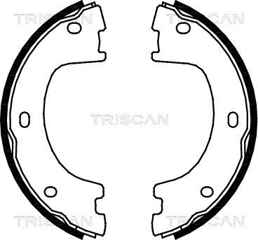 Triscan 8100 23032 - Bremžu loku komplekts autodraugiem.lv