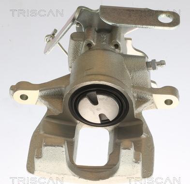 Triscan 8175 16201 - Bremžu suports autodraugiem.lv