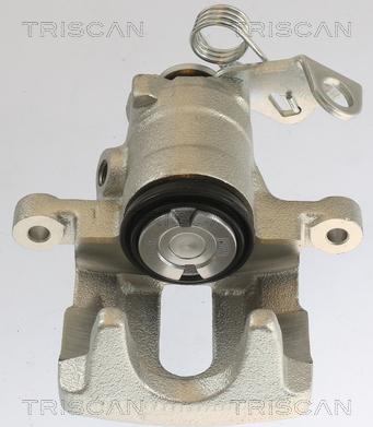 Triscan 8175 10202 - Bremžu suports autodraugiem.lv