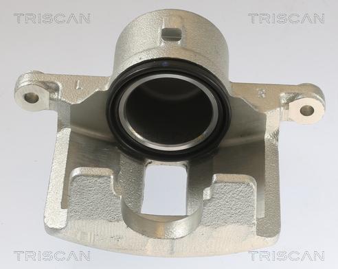 Triscan 8175 13101 - Bremžu suports autodraugiem.lv