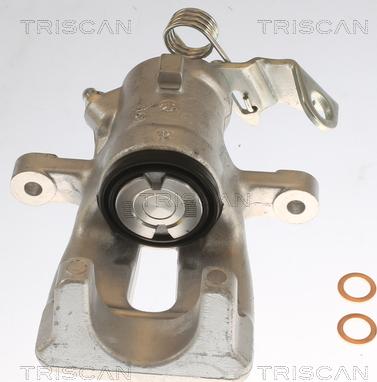 Triscan 8175 24202 - Bremžu suports autodraugiem.lv