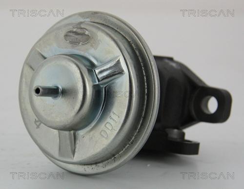 Triscan 8813 43003 - Izpl. gāzu recirkulācijas vārsts autodraugiem.lv