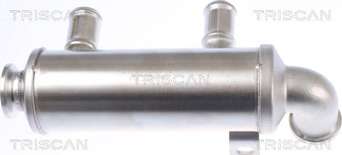 Triscan 8813 10110 - Radiators, Izplūdes gāzu recirkulācija autodraugiem.lv