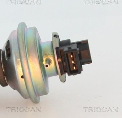 Triscan 8813 17100 - Izpl. gāzu recirkulācijas vārsts autodraugiem.lv