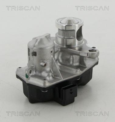 Triscan 8813 25042 - Izpl. gāzu recirkulācijas vārsts autodraugiem.lv