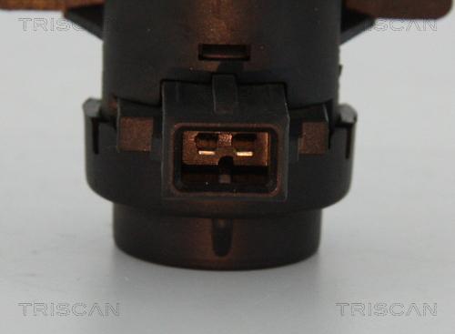 Triscan 8813 25021 - Spiediena pārveidotājs, Izpl. gāzu vadība autodraugiem.lv