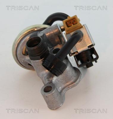 Triscan 8813 23005 - Izpl. gāzu recirkulācijas vārsts autodraugiem.lv