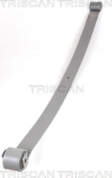Triscan 8765 10001 - Lāgu atsperes lokšņu komplekts autodraugiem.lv