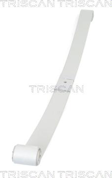Triscan 8765 10008 - Lāgu atsperes lokšņu komplekts autodraugiem.lv