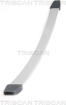 Triscan 8765 10003 - Lāgu atsperes lokšņu komplekts autodraugiem.lv