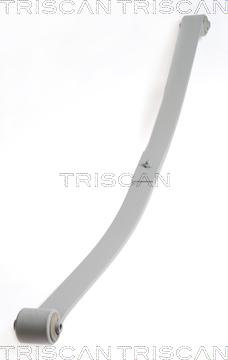 Triscan 8765 29019 - Lāgu atsperes lokšņu komplekts autodraugiem.lv
