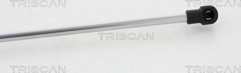 Triscan 8710 10214 - Gāzes atspere, Aizmugurējais stikls autodraugiem.lv