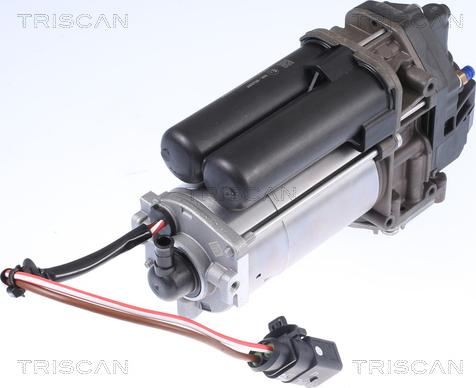 Triscan 8725 81101 - Kompresors, Pneimatiskā sistēma autodraugiem.lv