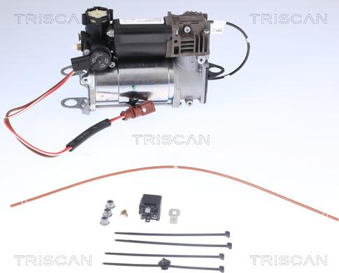 Triscan 8725 29101 - Kompresors, Pneimatiskā sistēma autodraugiem.lv